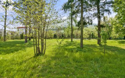 Predaj  | Pozemok vhodný na výstavbu rodinného domu Malé Uherce