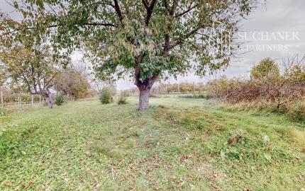 Predaj | Rodinný dom Nedanovce