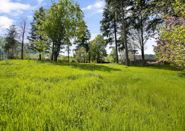 Predaj  | pozemok vhodný na výstavbu rodinného domu Malé Uherce