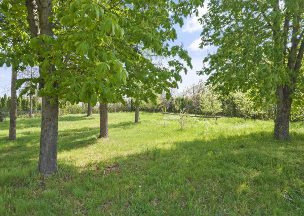 Predaj  | Pozemok vhodný na výstavbu rodinného domu Malé Uherce