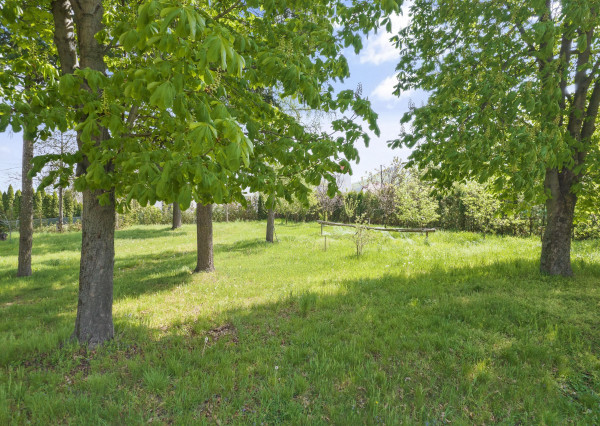 Predaj  | Pozemok vhodný na výstavbu rodinného domu Malé Uherce