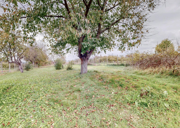 Predaj | Rodinný dom Nedanovce